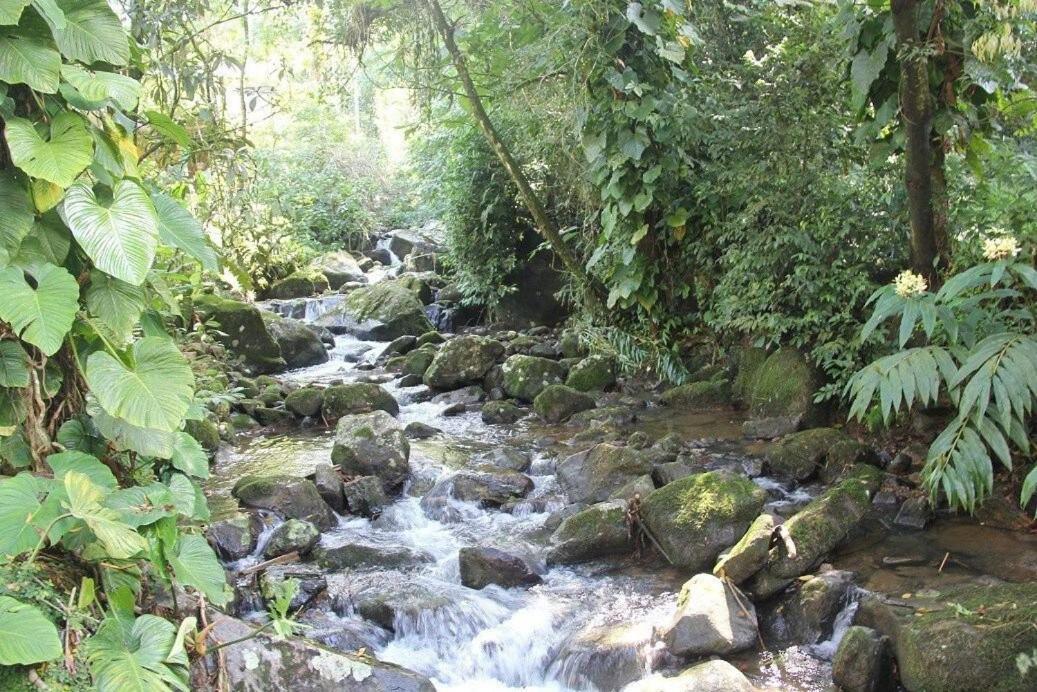 Dingo - Refugio Romantico Em Meio A Natureza Penedo  Exterior foto